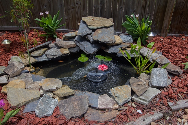 7 Ways to Make Your Backyard Pond an Oasis