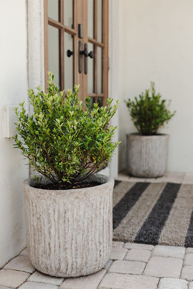 Textured stone planters for your mini-garden