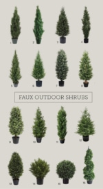 Outdoor Shrub and Planter Roundup - Jenna Sue Design